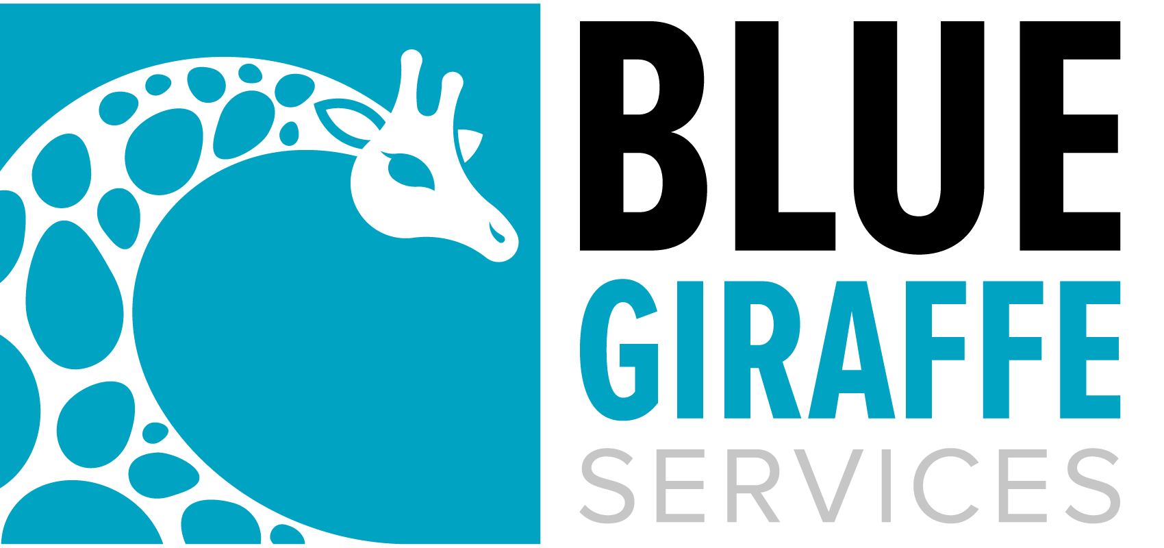 Blue Giraffe Services